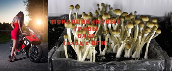 круглые Аркадак