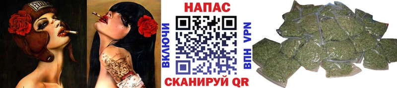 Купить закладки  Лодейное Поле  Каннабис ГИДРОПОН 